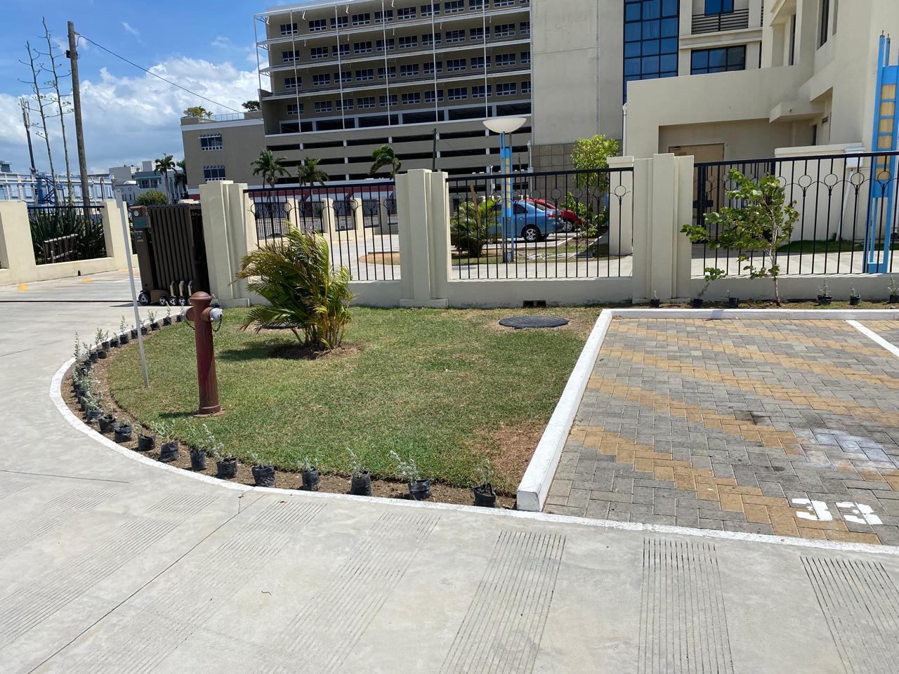 Home 1-thegrasswiz IMG 20251027 WA0013-thegrasswiz